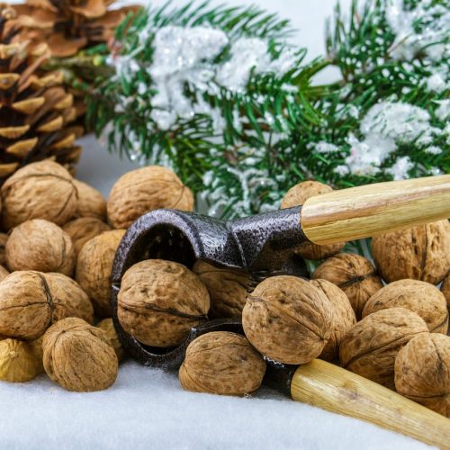 nuts-ga931d3a08_1280 noel