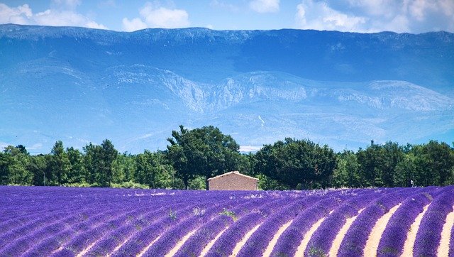 valensole-3925067_640